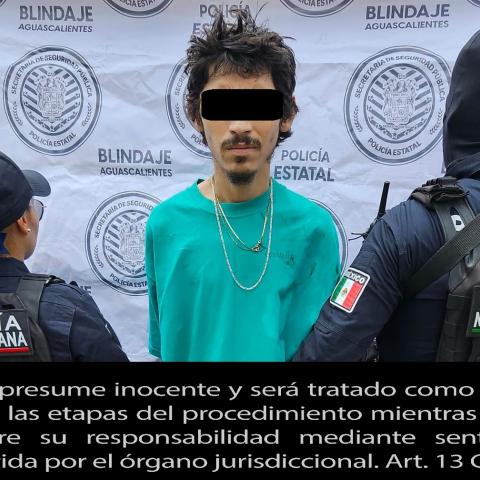distribuidor