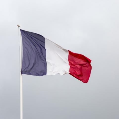 Bandera de Francia 