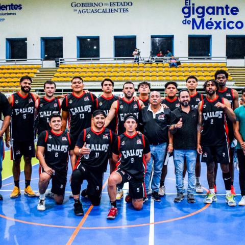 GALLOS AGS CIBAPAC