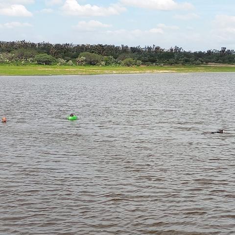 Presa de Tanque del Borrego 