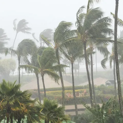 Onda tropical no. 8 provocará lluvias intensas en varios estados 