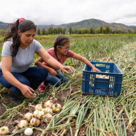 Mujeres lideran solo el 19% de las unidades de producción en México