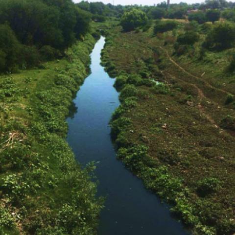 Río San Pedro