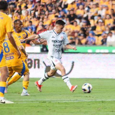 TIGRES VS NECAXA