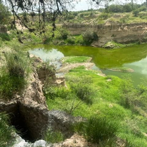 El cuerpo localizado en una noria en Asientos era de un hombre y tenía un disparo en la cabeza