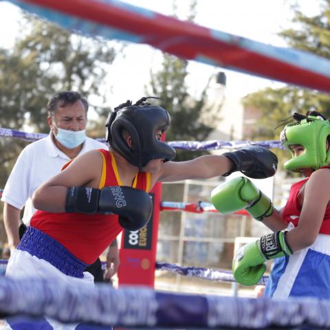 copa aguascalientes 2024 box