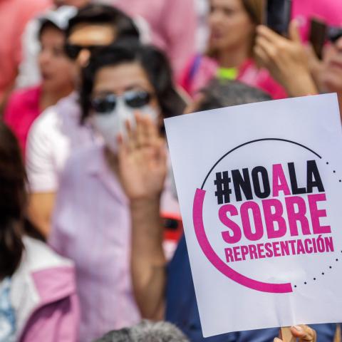 Marea Rosa: Protestan contra sobrerrepresentación ante el INE