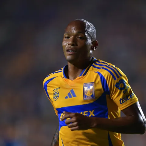 LUIS QUIÑONES TIGRES