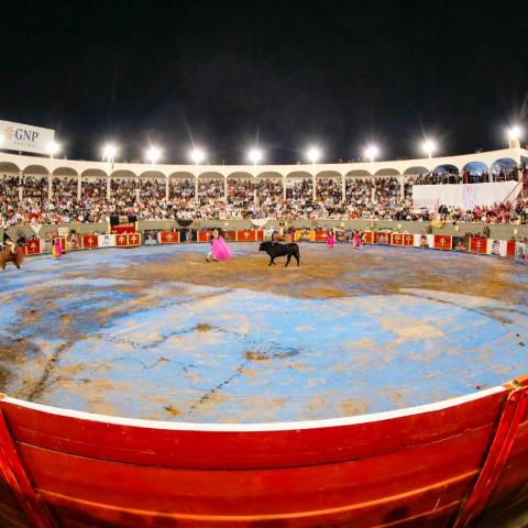 Corrida de toros