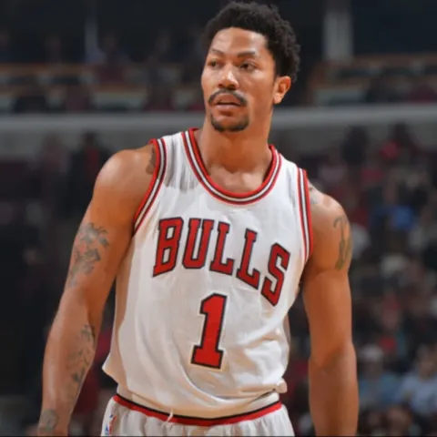 DERRICK ROSE RETIRO