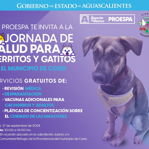 Jornada de Salud para Perritos y Gatitos 