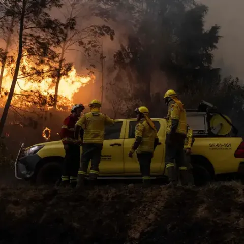 Incendio forestal