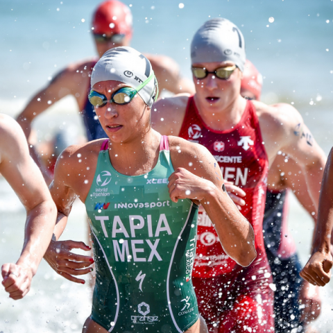 Campeonato Mundial de Triatlón 