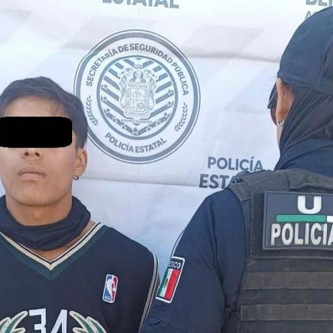 distribuidor