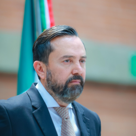 Arturo Ávila Anaya, diputado federal de Morena 