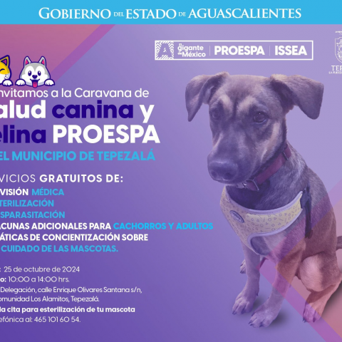 Caravana de Salud Canina y Felina 