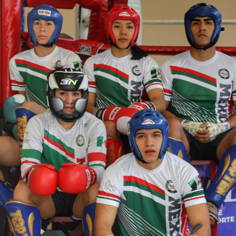 Panamericano de Kickboxing 