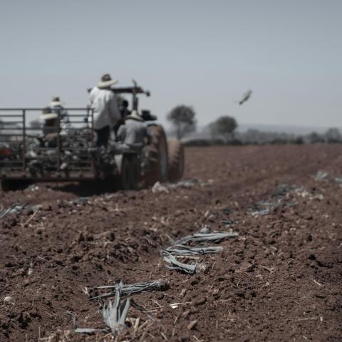 En el campo 10 mil de las 17 mil personas en pobreza extrema 