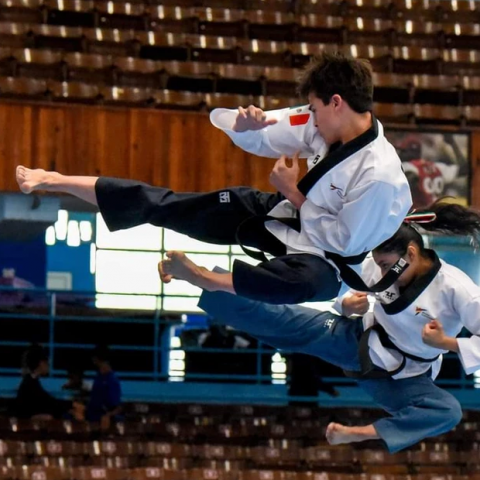 Taekwondo