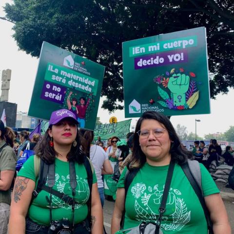 Colectivas feministas