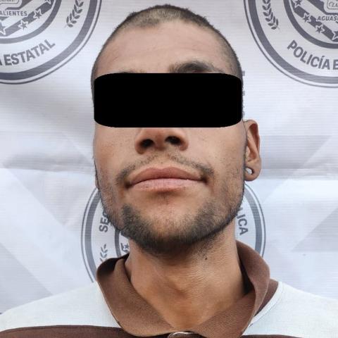 distribuidor