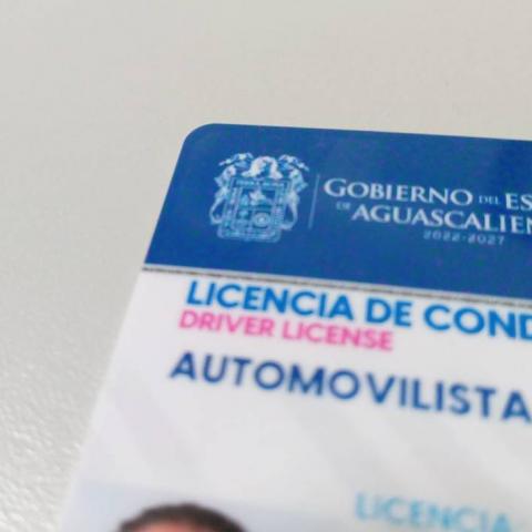 Licencias de Conducir