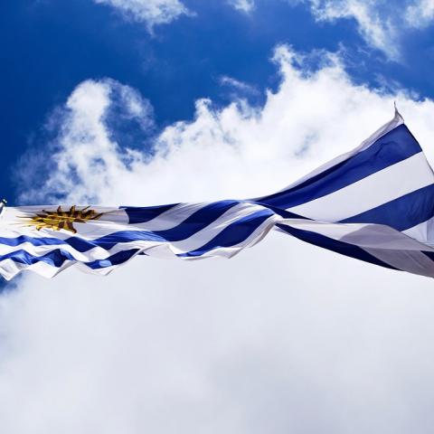 Bandera de Uruguay 