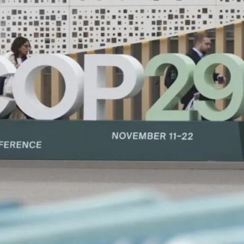 COP29 