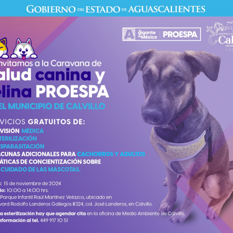 Caravana de la Salud Canina y Felina