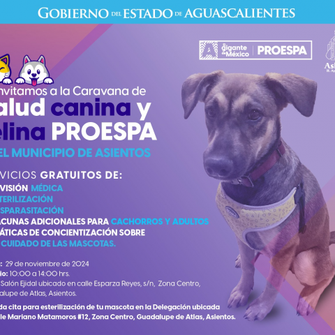 Caravana de la Salud Canina y Felina