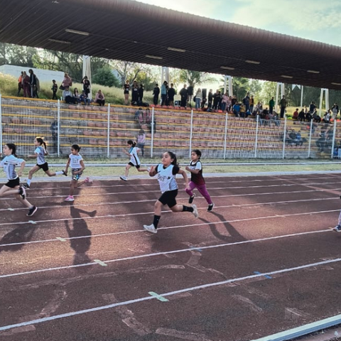 Serial de Atletismo