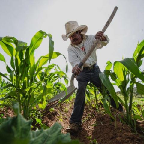 Comercio internacional