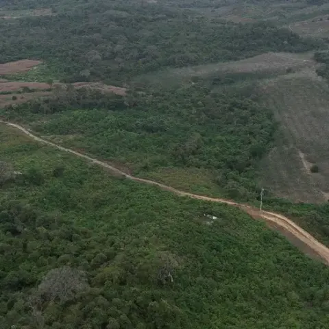 Prisión en la Amazonia