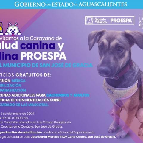 Caravana de la Salud Canina y Felina