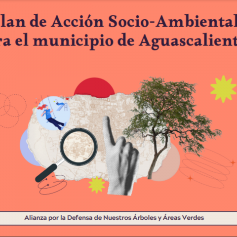 Acusan ambientalistas falta de participación en Plan de Desarrollo Municipal