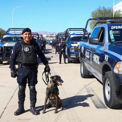 Operativo "Navidad Segura"