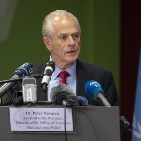 Peter Navarro 