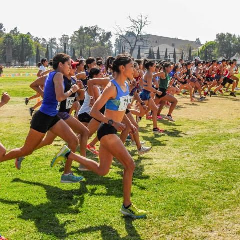 Campeonato Nacional de Campo Traviesa 2025