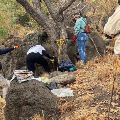 Recuperan 24 cuerpos de fosa clandestina en Zapopan, Jalisco