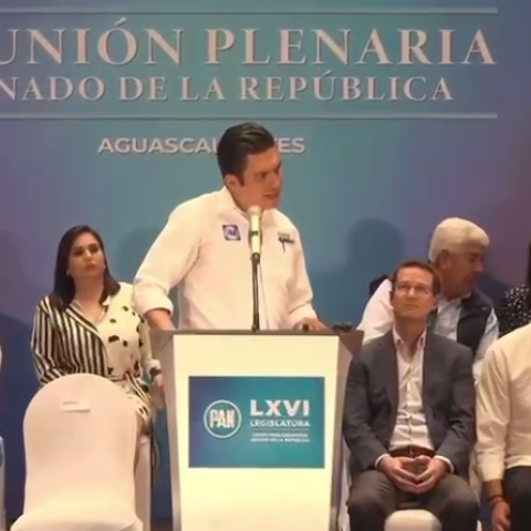 Jorge Romero Herrera, Dirigente Nacional del PAN 