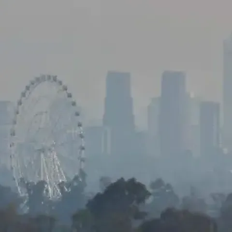 Contaminación