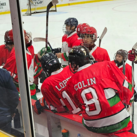 Campeonato Mundial de Hockey Sobre Hielo