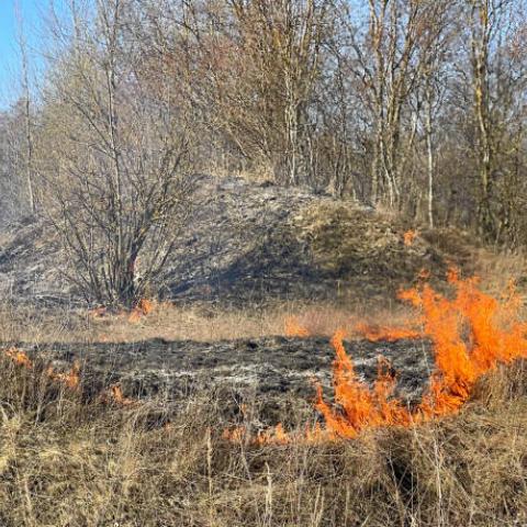 Hasta 15 incendios forestales se registran a diario en la capital