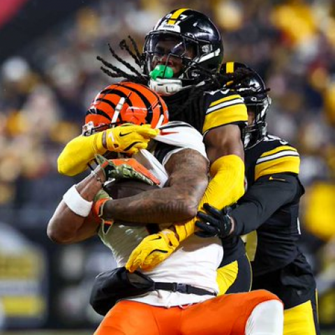 Steelers 17-19 Bengals