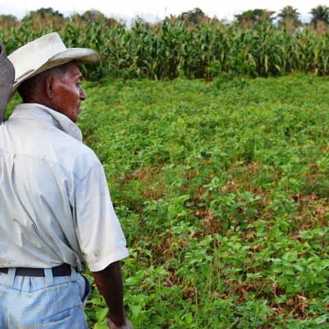 Sostiene gremio que aún no hay trabajadores del campo aguascalentenses deportados