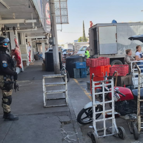 OPERATIVO EN EL AGROPECUARIO.