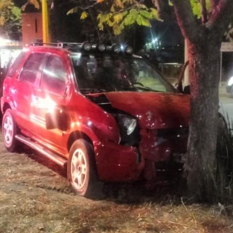 Ebrio conductor impactó su camioneta contra un árbol.