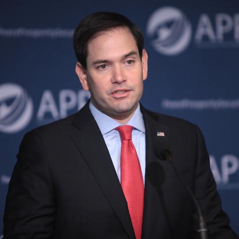 Marco Rubio 