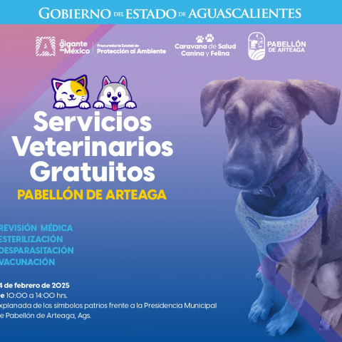 Servicios veterinarios 