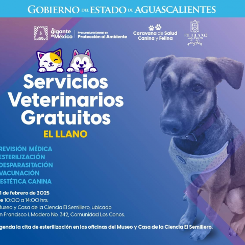 Servicios veterinarios 